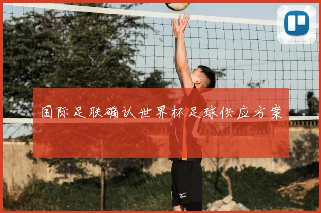 国际足联确认世界杯足球供应方案