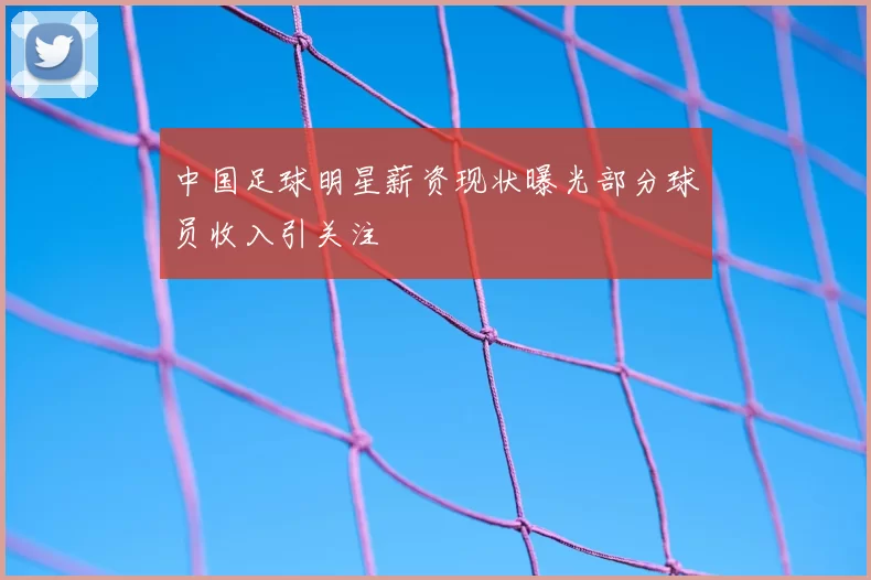 中国足球明星薪资现状曝光部分球员收入引关注