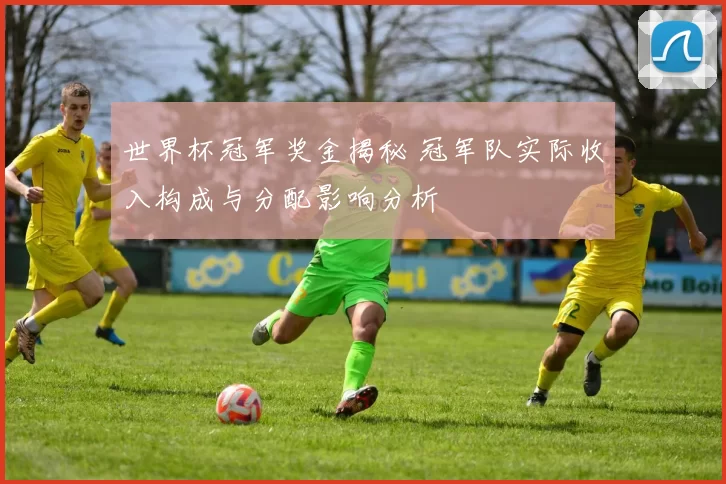 世界杯冠军奖金揭秘 冠军队实际收入构成与分配影响分析