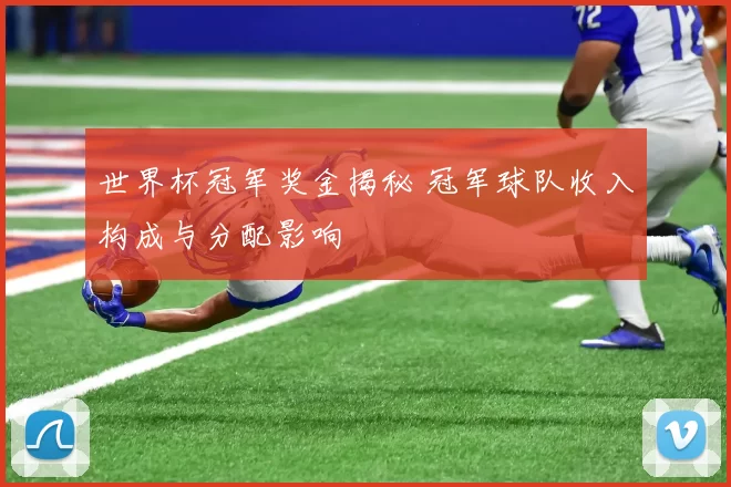 世界杯冠军奖金揭秘 冠军球队收入构成与分配影响