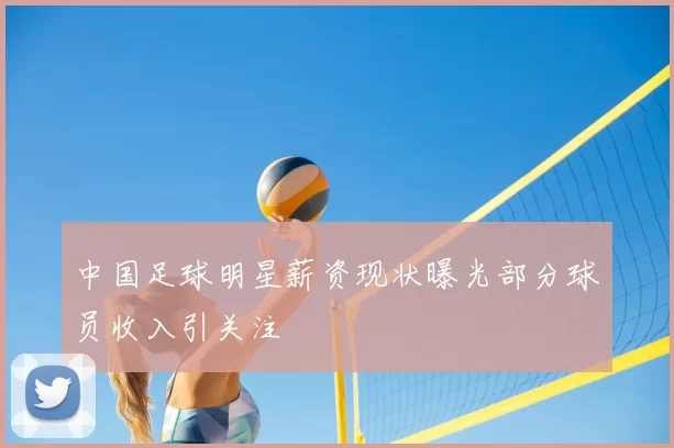 中国足球明星薪资现状曝光部分球员收入引关注