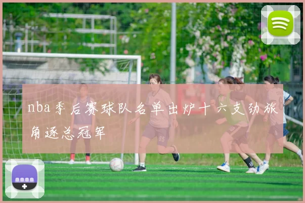 nba季后赛球队名单出炉十六支劲旅角逐总冠军