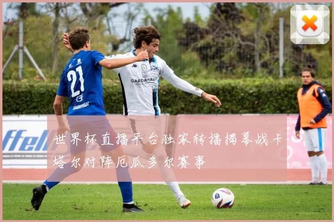 世界杯直播平台独家转播揭幕战卡塔尔对阵厄瓜多尔赛事