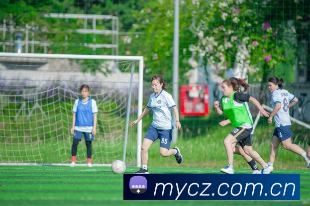 多媒体互动体验